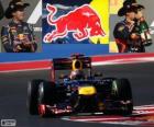 Sebastian Vettel - Red Bull - 2012 ABD Grand Prix, 2 gizli